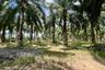 Land for rent in Ao Nang, Krabi