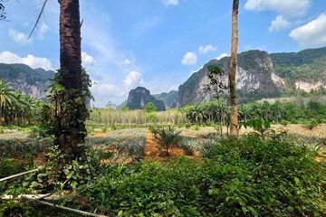 Land for sale in Nong Thale, Krabi