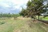 Land for sale in Huai Yai, Chonburi
