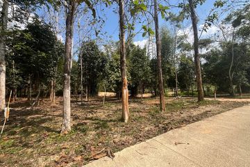 Land for sale in Bang Thong, Phang Nga
