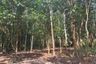 Land for sale in Bang Thong, Phang Nga