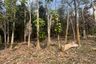 Land for sale in Bang Thong, Phang Nga