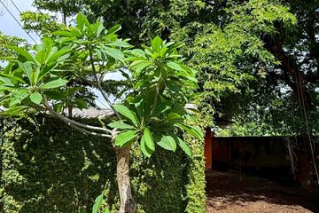 3 Bedroom House for Sale or Rent in Ton Pao, Chiang Mai