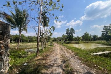 Land for sale in Bang Thong, Phang Nga