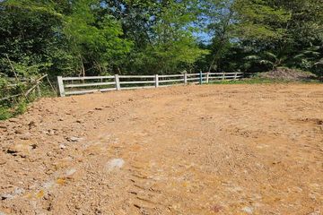 Land for sale in Huai Yai, Chonburi