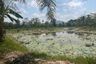 Land for sale in Bang Thong, Phang Nga