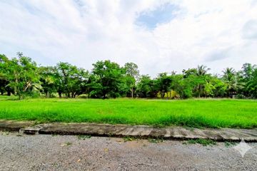 Land for sale in Nong Khanan, Phetchaburi
