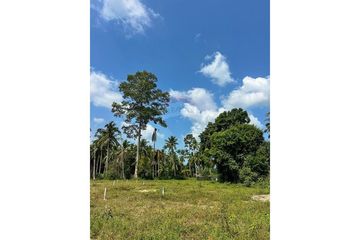 Land for sale in Mae Nam, Surat Thani