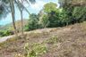 Land for sale in Ang Thong, Surat Thani