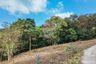 Land for sale in Ang Thong, Surat Thani