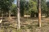 Land for sale in Thai Mueang, Phang Nga