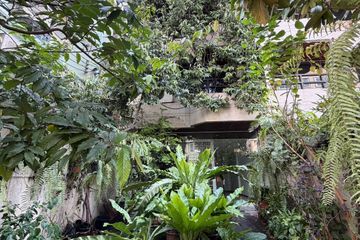 6 Bedroom Townhouse for rent in Khlong Tan Nuea, Bangkok near BTS Thong Lo