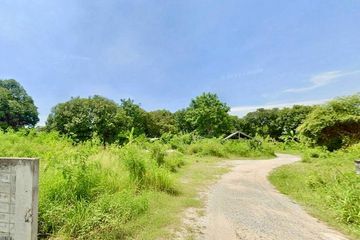 Land for sale in Nong Prue, Chonburi