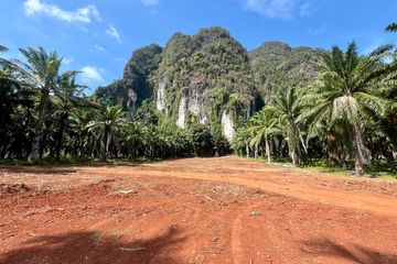 Land for sale in Sai Thai, Krabi