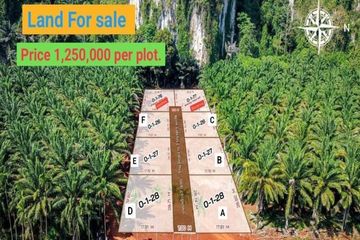 Land for sale in Sai Thai, Krabi