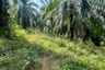 Land for sale in Nong Thale, Krabi
