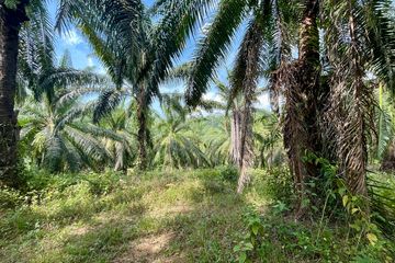 Land for sale in Nong Thale, Krabi