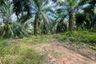 Land for sale in Nong Thale, Krabi