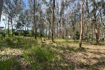 Land for sale in Ao Nang, Krabi