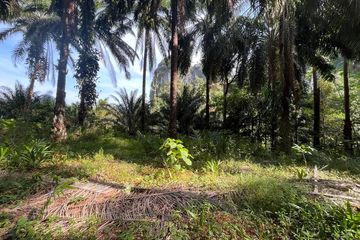Land for sale in Sai Thai, Krabi