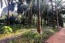 Land for sale in Sai Thai, Krabi