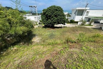 Land for sale in Mae Nam, Surat Thani