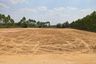 Land for sale in Hua Wa, Prachin Buri