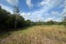 Land for sale in Na Mueang, Surat Thani