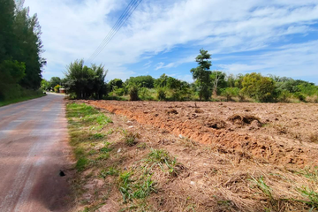 Land for sale in Pluak Daeng, Rayong