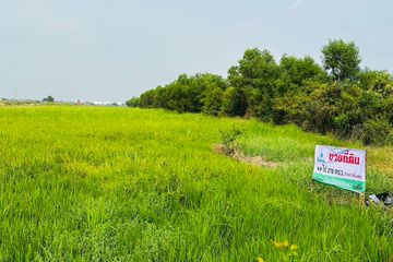 Land for sale in Sisa Krabue, Nakhon Nayok