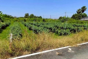 Land for sale in Sanam Chan, Nakhon Pathom