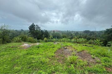 Land for sale in Lipa Noi, Surat Thani