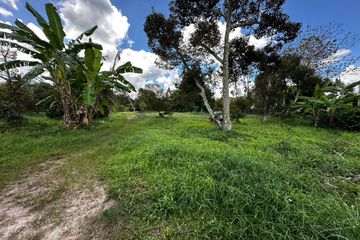 Land for sale in Ban Laeng, Rayong