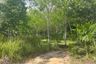 Land for sale in Bang Thong, Phang Nga