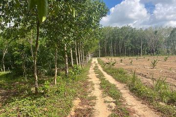 Land for sale in Bang Thong, Phang Nga