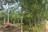 Land for sale in Bang Thong, Phang Nga