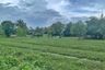 Land for sale in Lipa Noi, Surat Thani