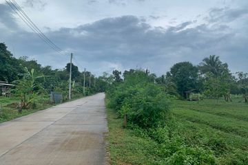 Land for sale in Lipa Noi, Surat Thani