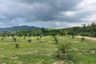 Land for sale in Bang Thong, Phang Nga