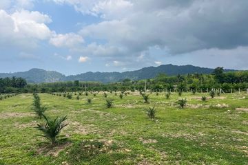 Land for sale in Bang Thong, Phang Nga