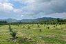 Land for sale in Bang Thong, Phang Nga