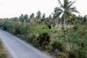 Land for sale in Khao Mai Kaeo, Chonburi