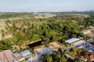 Land for sale in Khao Mai Kaeo, Chonburi