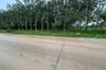 Land for sale in Hang Sung, Chonburi