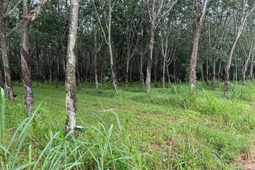 Land for sale in Hang Sung, Chonburi