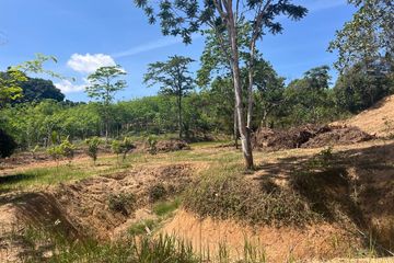 Land for sale in Tha Yu, Phang Nga