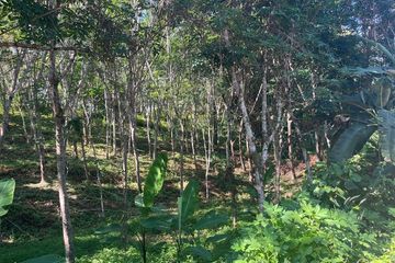 Land for sale in Tha Yu, Phang Nga