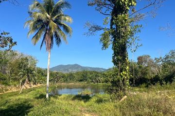 Land for sale in Tha Yu, Phang Nga