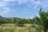 Land for sale in Bang Thong, Phang Nga