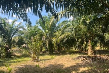 Land for sale in Bang Thong, Phang Nga